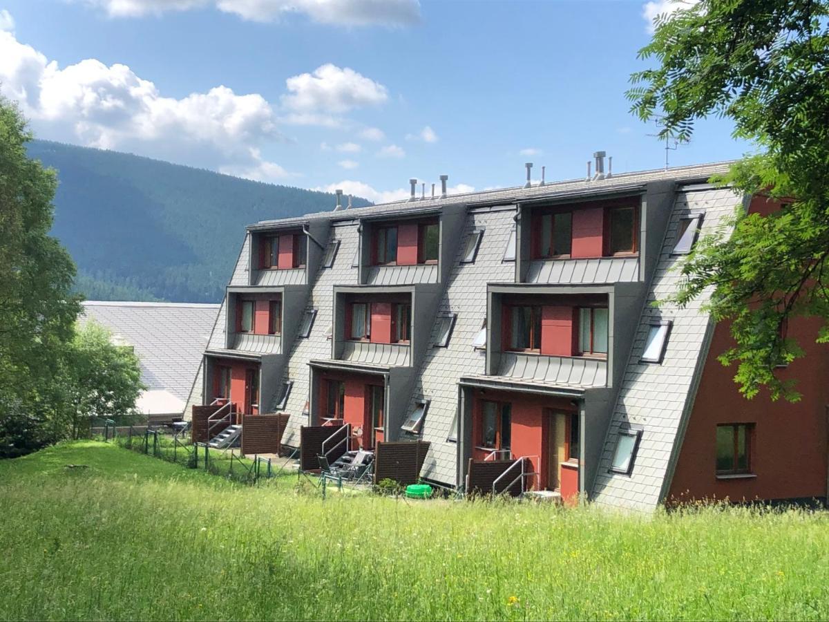 Apartment Ramzova Kometa *