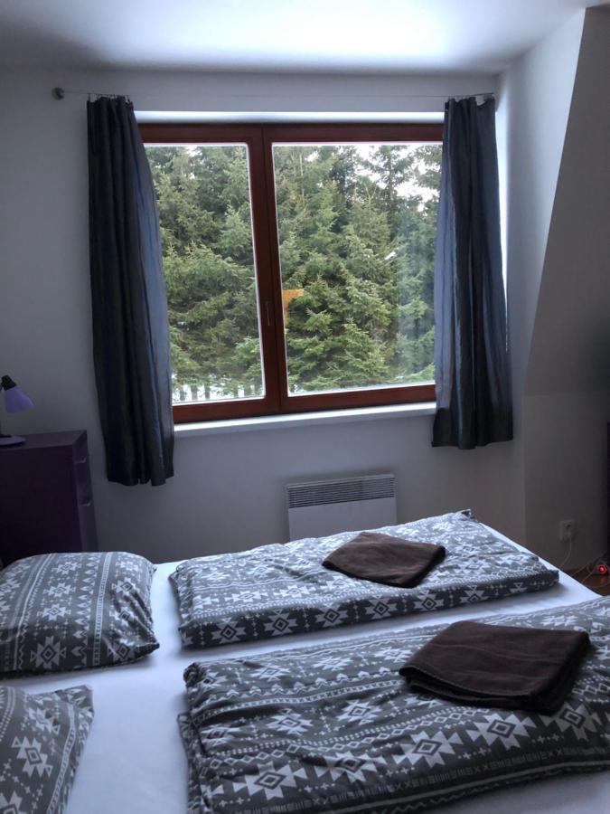 Apartment Ramzova Kometa Ostruzna